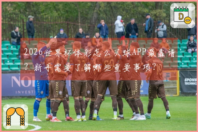 2026世界杯体彩怎么买球APP最靠谱？新手需要了解哪些重要事项？