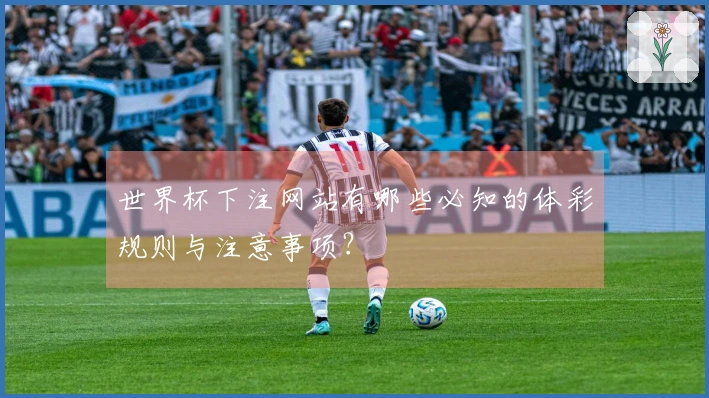 世界杯下注网站有哪些必知的体彩规则与注意事项？